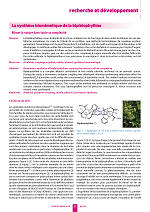 La synthèse biomimétique de la bipléiophylline : mimer la nature dans toute sa complexité