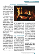 Ah, un bon feu de bois dans la cheminée !