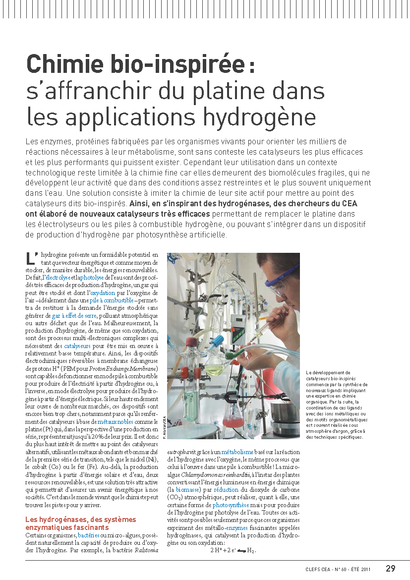 Chimie bio-inspirée : s’affranchir du platine dans les applications hydrogène