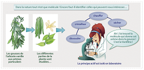 Les substances naturelles : le magasin du bon Dieu