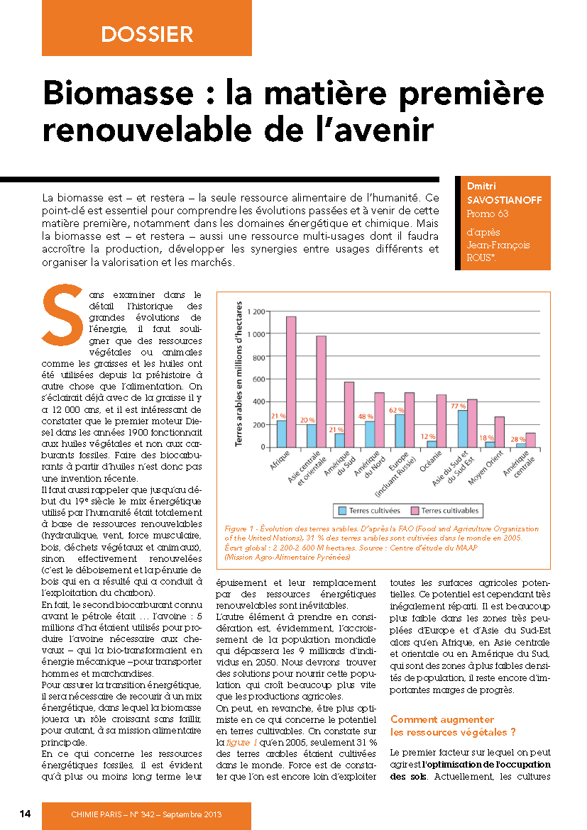 Biomasse : la matière première renouvelable de l’avenir