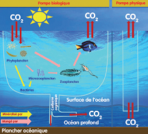 Une chimie de la mer pour l'avenir de la Terre