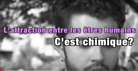 Le cerveau, l'organe sentimental