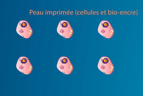L'impression fait peau neuve