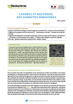 Levures et bactéries, des chimistes miniatures