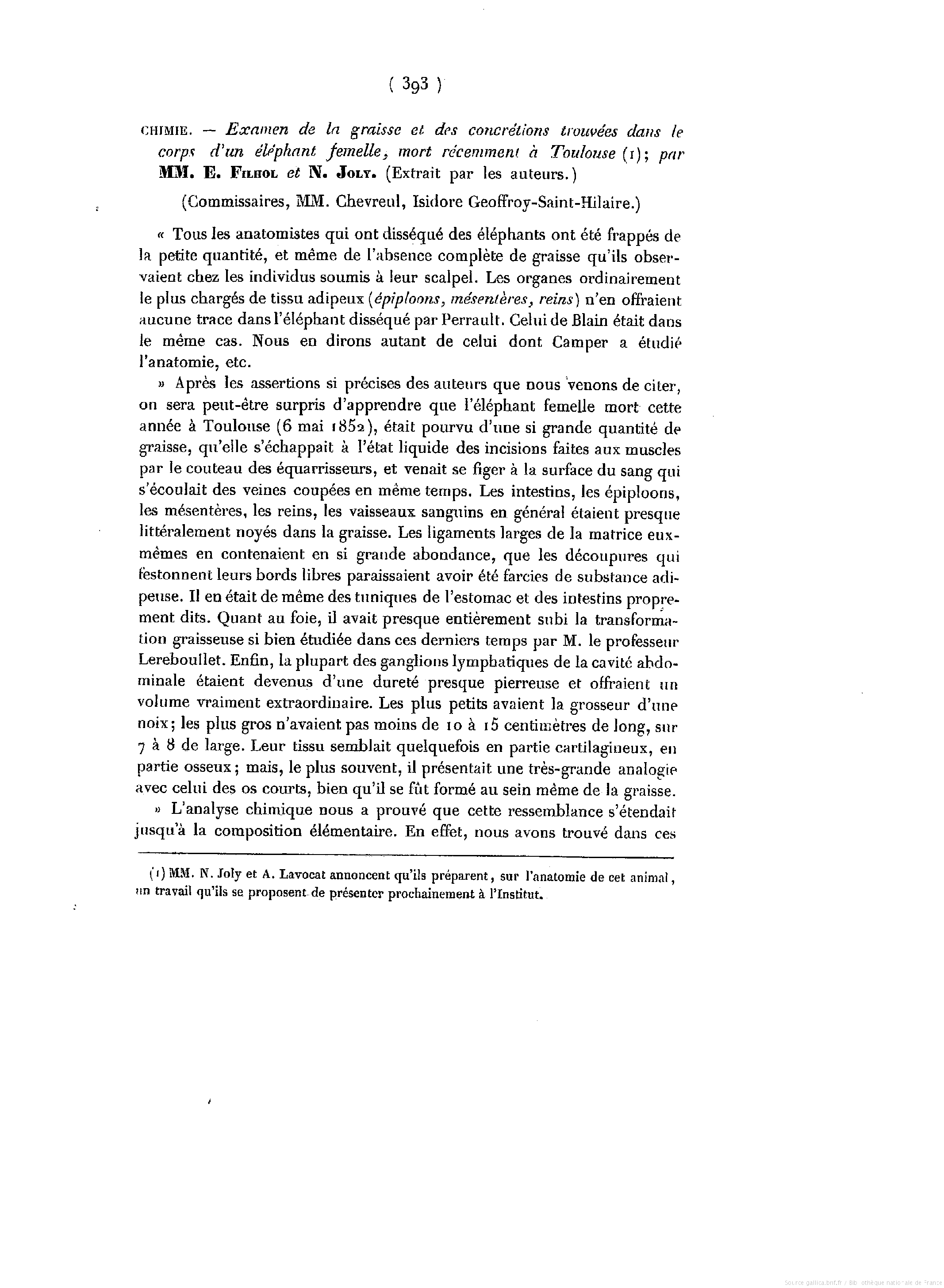 Étude de la graisse d’un éléphant