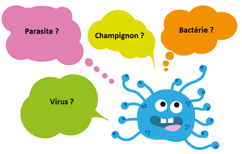Parasite, champignon, bactérie et virus : quelles différences ?