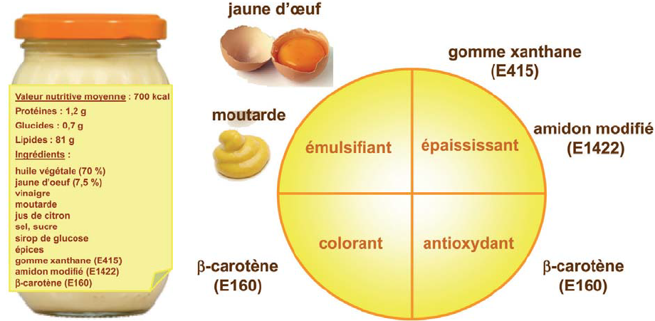 La construction des aliments : une question de chimie 