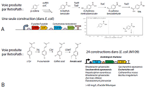 Rétrosynthèse en biologie : production de molécules bioactives et dispositifs pour le diagnostic