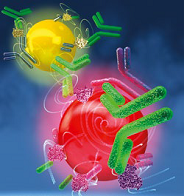Diagnostic médical à l’échelle nanométrique : détection des biomarqueurs des maladies par des technologies de fluorescence
