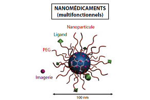 Nanomédicaments pour le traitement du cancer et des maladies du système nerveux
