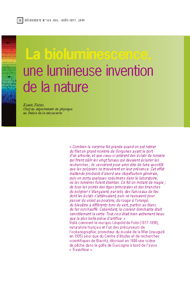 La bioluminescence, une lumineuse invention de la nature