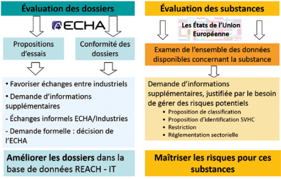 L’évaluation des substances chimiques dans le cadre de la mise en œuvre de REACH