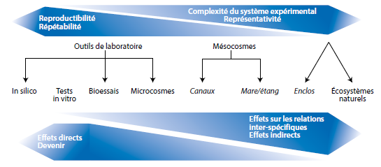Les enjeux de la recherche en toxicologie et écotoxicologie dans le cadre de la mise en oeuvre de REACH