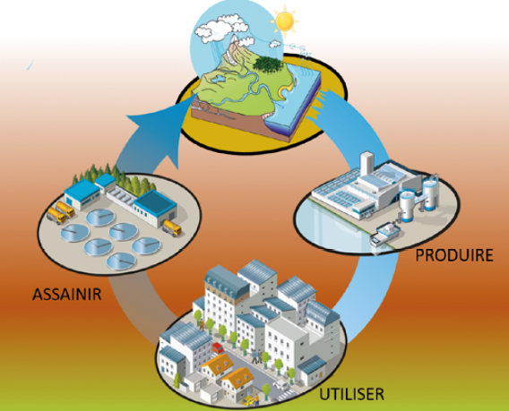 Micropolluants chimiques dans l’environnement