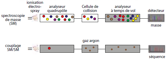 Techniques analytiques et chimie de l’environnement