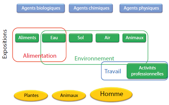 Le défi posé aux chimistes pour la protection de la santé et l’environnement. Le point de vue de l’ANSES 