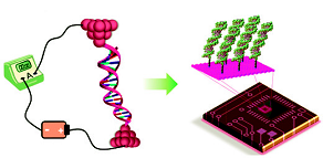 Nanochimie : des nanomatériaux intelligents aux dispositifs optoélectroniques et capteurs multifonctionnels