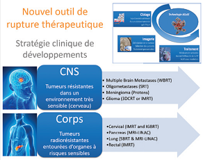 Particules hybrides théranostiques pour une nanomédecine de rupture : de la paillasse aux premiers essais cliniques