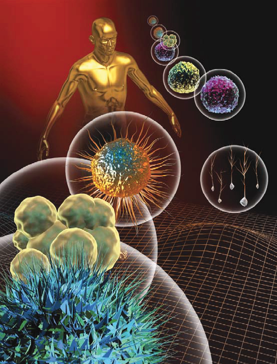 Chimie du et pour le vivant : objectif santé 