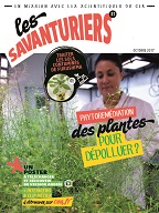 Phytoremédiation : des plantes pour dépolluer